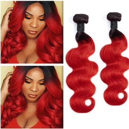 Malaysian Human Hair 2 Bundles Body Wave 1B Red Ombre Virgin Hair 95-100g/piece 1B/red Body Wave Pxief