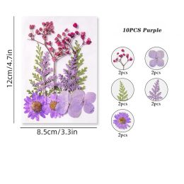 Dried Flower Dry Plants for Aromatherapy Candle Epoxy Resin Pendant Necklace Jewelry Bookmark Making Craft DIY Accessories