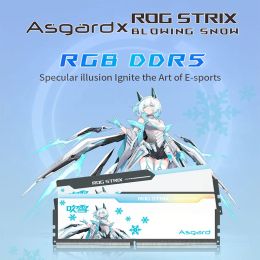 Asgard 32GB 16GBx2 DDR5 6000MHZ 6400MHZ 6800MHZ RGB Memory Strip ROG STRIX Joint Desktop Memory Strip Hynix A-die Particles CL38