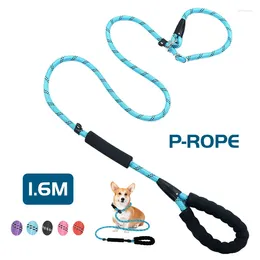 Dog Collars 1.6m Slip Leash P Style Pet Lead Walking Training For Small Medium Large Big Dogs Nylon Collar Set Reflective Rope Supplies