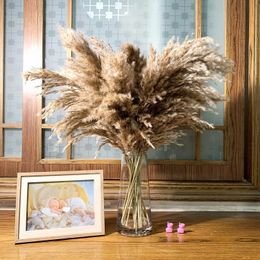 Natural Fluffy Pampas Grass Reed Dried Flower Bouquet Boho Style Home Dining Table Wedding Vase Flower Arrangement Decoration 240520