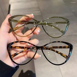 Sunglasses Transparent Anti-Blue Light Glasses Women's High-definition Eyeglasses Fashion Vintage Large Eyewear Frame