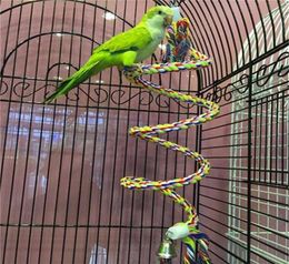 50cm Parrot Toy Rope Braided Parrot Pet Chew Rope Budgie Perch Coil Bird Cage Cockatiel Toy Pet Birds Training Accessories9628066