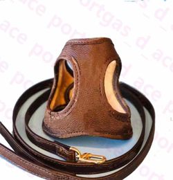 Genuine Leather Dog Harnesses Leashes Vintage Blossoming Dogs Cats Harness Set Pomeranian Corgi Bulldog Chihuahua Schnauzer Outdoo9079159