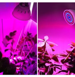 LED grow light Hydroponic Growth Light E27 B22 E14 Led Grow Bulb Full Spectrum 220V UV Lamp Plant Flower Seedling High quality