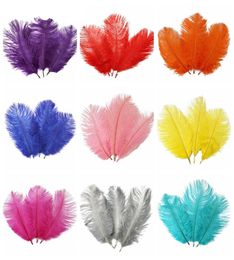 1012 inch Ostrich Feather Plume White Pink Burgundy Wedding Party Table Centerpieces Decoration Celebrity Wall Decor2400894