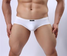 Sexy Men Boxers Male Ultrathin Underpants Men039s Nylon Panties Boxer Shorts Men Tight Boxer Shorts Men Quality Breathable Und5424748