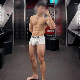 Underpants Men's Boxers Cotton Solid Color Simple Style Sexy Low Waist Lift Hip Slim-fit Exercise Panties Mens
