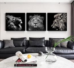 Black White Lion Pictures Wall Art Paintings For Living Room Canvas Printings Modern Animal Decoration No Frame7315380