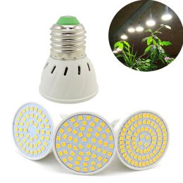 LED Lamp Bulb E27 Socket Bombillas Spotlight 48 60 80Leds Lampara Spot Greenhouse Phytolamp Grow Plant Light SMD 2835