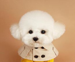 Dog Collar Beige Pet Bandana Scarf British Style Cloak Trench Coat Cat Collars for Small Dog Puppy Bandage Bib Accessories4930609