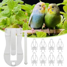Other Bird Supplies Birds Food Holder Pet Parrot Feeding Clip Cuttlefish Bone Feeder Device Pin Clamp Durable Cage