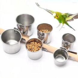 Other Bird Supplies Water Bowl Holder Stainless Steel Feeding Dish Cups With Clamp For Parrot Cage Anti-gnawing Small Cockatiels
