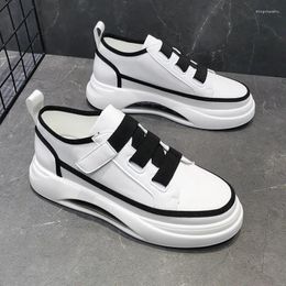 Casual Shoes Korean Designer For Men Breathable Original Leather Shoe Comfortable Air Cushion Sneakers Platform White Footwear