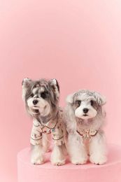 Dog Apparel Maltese Schnauzer Teddy Bear's Cute Summer Pet Dress Selling Well In Japan