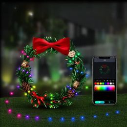 5/10/20M DC5V WS2812B RGBIC Christmas Dreamcolor LED String Lights Bluetooth Music Rainbow Fairy Lights for Room DIY Decoration