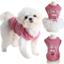 Dog Apparel Stripe Dress Puppy Vest T Shirt Princess Tutu Skirt Letter Cherry Print Couple Outfits Summer Clothes For Small Dogs Poodle