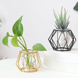 Vases Tabletop Home Decoration Gold Iron Vase Metal With Glass Terrarium Hydroponic Plant Flower