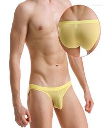 Transparent Mens Sexy Ice Silk Underwear Briefs Men Ultra Thin Comfortable Panties Low Rise Male Mini Underpant Bikini Underpants1686830