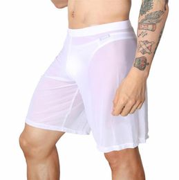 Underpants Boxer Shorts Men Underwear Sexy Mesh Sleep Bottoms Pajama Long Gay Sissy Transparent Cute Panties U Pouch White3554342