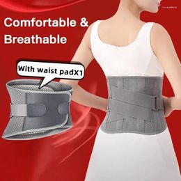 Waist Support Adjustable Breathable Lumbar Pad Orthopedic Back Belt Man Woman Spine Strap For Gym Pain Relief