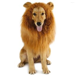 Dog Apparel Costume Lion Hair Scarf Elastic Pets Cute Decorations For Cats Dogs Holiday Po Shooting