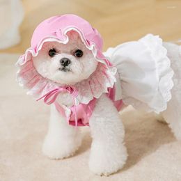 Dog Apparel 2024 Clothes Pet Spring And Summer Dress For Small Medium Dogs Korean Cute Lace Maid Cat Female Chihuahua Teddy Bichon