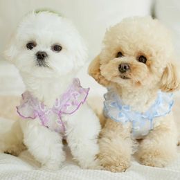 Dog Apparel Heart Transparent Dress White Tulle Girls Dresses Short Sleeve Puppy Cat Poodle Skirts For Princess Chihuahua Bichon Summer