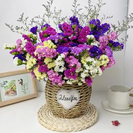 Decorative Flowers Forget-Me-not Dried Multi-Color Real Myosotis Style For Wedding Decoration Arrangement DIY Bouquet Room Home