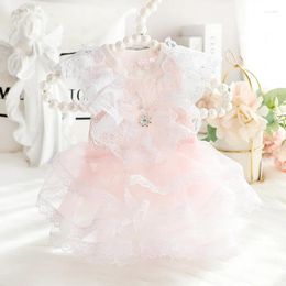 Dog Apparel Lace Skirt For Dogs Dress Wedding Princess Pet Clothes Cat Small Fashion Kawaii Costume Spring Summer Puppies Products