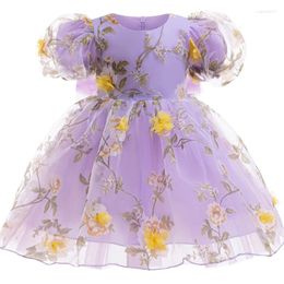 Girl Dresses 1 2 3 4 5 6 Years Rose Girls Dress Summer Mesh Fashion Bow Little Princess Baby Christmas Birthday Gifts Kids Clothes