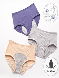 Leak Proof Menstrual Panties Physiological Pants Women Underwear Period Cotton Waterproof Briefs Plus Size Female Lingerie7507860