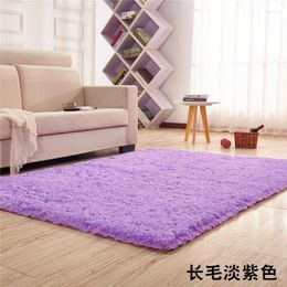 Carpets 61307 Fashionable Carpet Bedroom Cloakroom Lounge Mat Living Room Sofa Coffee Table