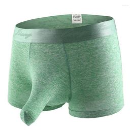 Underpants Erotic Elephant Trunk Underwear For Men Lingerie Brazilian Men's Boxer Shorts