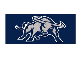 Custom Digital Print 3x5ft Flags Outdoor Sport Football Utah State Aggies BULL OX Flag Banner for Supporter and Decoration7682098