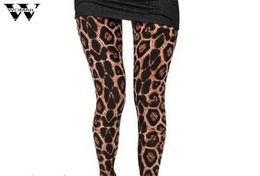 Amazing New 2016 Summer Womens Fashion Sexy Leopard Print Leggings4578593
