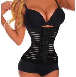 Waist Trainer Slimming Belt Breathable shapers Underwear Waistband Tummy Corset Underbust Plus Size for Women2774716