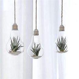 Storage Bottles & Jars 24 X D8 13cm Hanging Terrarium Flower Plant Glass Vase Light Bulb Shape Home Wedding Decor 229D