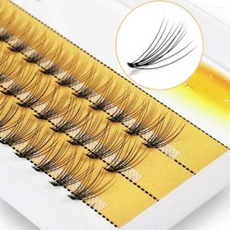 False Eyelashes 10D Cluster Eyelash Natural Extension 1 Box/60 Bunches Russian Individual Makeup Tools Lashes Wholesale