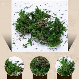 40g lot artificial flower moss simulation plant turf decoration flower arrangement decoration material DIY potted moss 2585