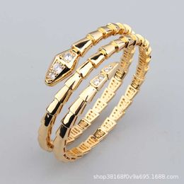 Unique charm Bulgarly bracelet designed for lovers Fashionable snake shaped men and women with couples luxury FH5B