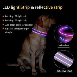 1pc LED light dog collar USB rechargeable flash pet light at night with buttons adjustable 3 light modes This product comes in 7 Colour options