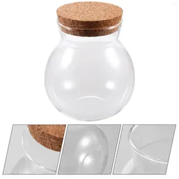 Storage Bottles Mini Glass Jars Small Without Lights Aquarium Cork Stopper Vials Wish Clear Ornaments Little