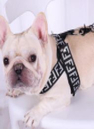 Pet Harnesses Letter Print Dog Collars Cat Pet Chest Back Band Suit Outdoor Dog Safety Products Leashes YHC116758567