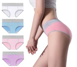 15 Colours Plus Size 5XL Panties For Women Solid Colour High Waist Sexy Underwear Briefs Female Cotton Underpants Shorts Ladies9182587