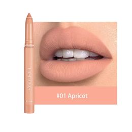 Handaiyan lip liner whole sale lipstick Pencil Crayons Matite Labbra Matte Waterproof Easy to Wear Long-lasting Natural 12 Rich Color Cosmetic Makeup