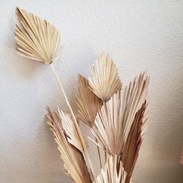 Palm Fan Leaf Dried Flower Natural Dried Palm Leaf Fan Plant DIY Party Art Wall Hanging Wedding Decor 2604