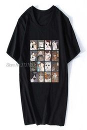Meme Cats 20 TShirt Men Birthday Gifts Short Sleeves Funny Summer Men Cotton Tshirt Hip Hop Tees Harajuku Streetwear X06211283736