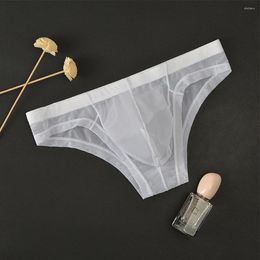 Underpants Men Low Rise Heer Mesh Bulge Pouch Thong Briefs Sexy Transparent Underwear Breathable Gay Male See Through Panties