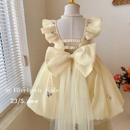 Girls Casual Dresses Floral Embroidery Mesh Lace Back Hollowing Bow Princess Dresses Kids Dresses for Girls Baby Girl Clothes 240527